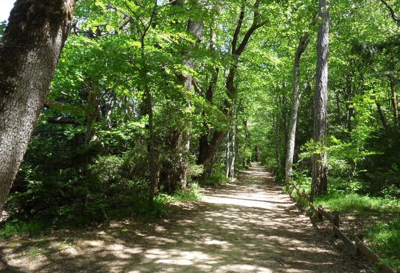 بنسيون La Bastide Des Templiers