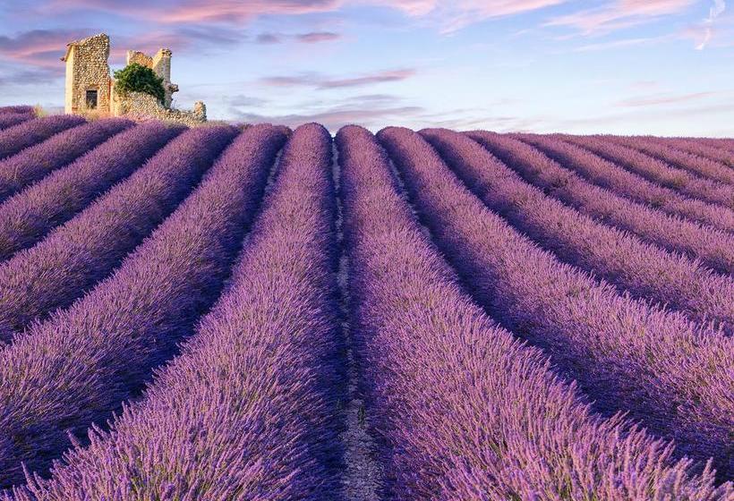 بنسيون La Bastide Des Templiers