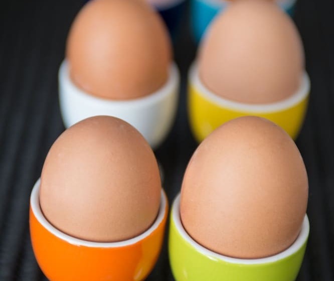 펜션 La Maison Des Tout Le Monde