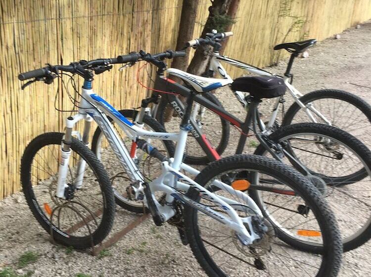 Пансион La Mandarine