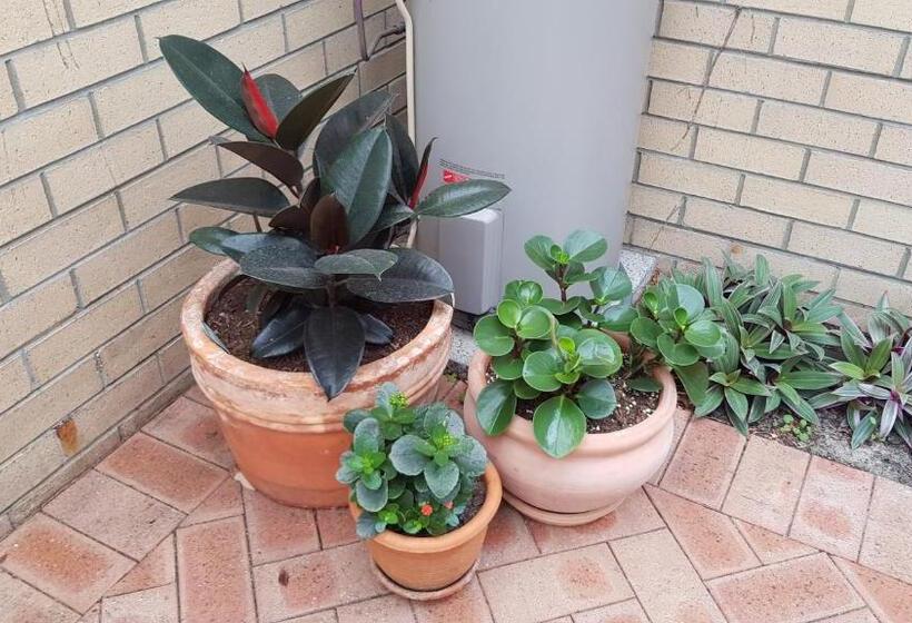 Albany Holiday Units