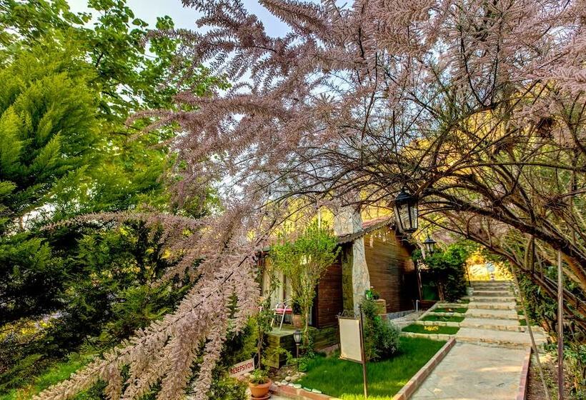 Ağva Park Mandalin Hotel Adult Only