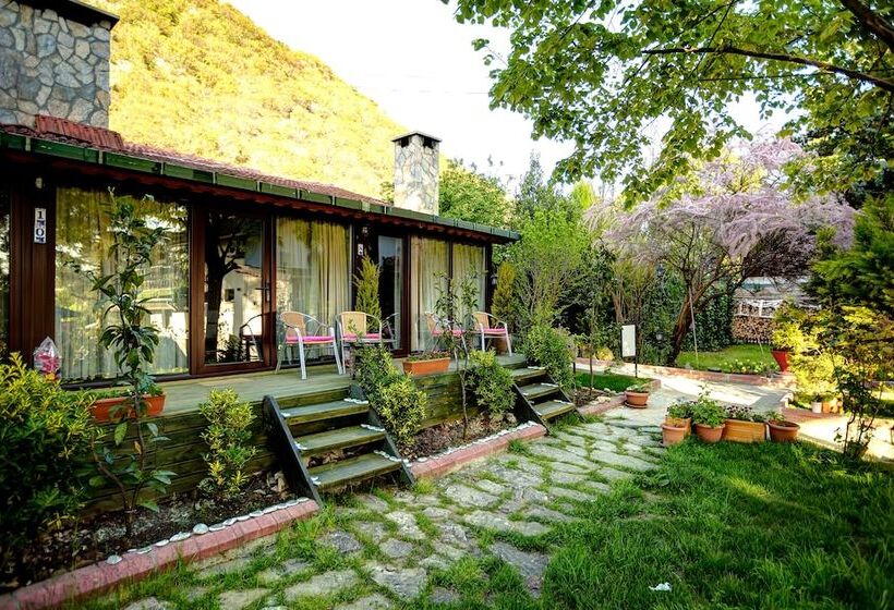 Ağva Park Mandalin Hotel Adult Only