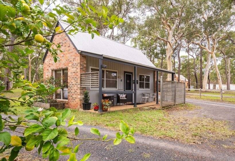 Bay And Bush, Jervis Bay