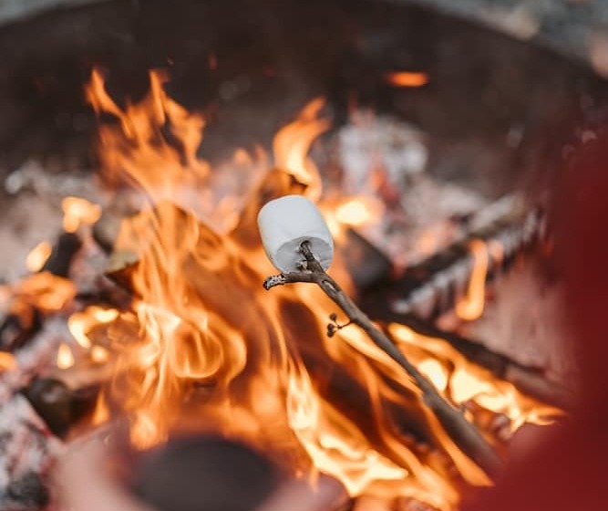 Bay And Bush, Jervis Bay