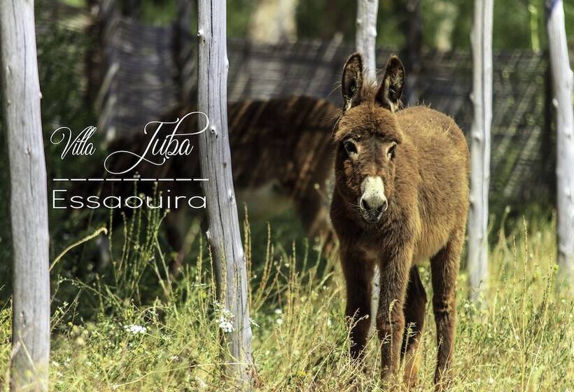 ベッドアンドブレックファースト Villa Juba