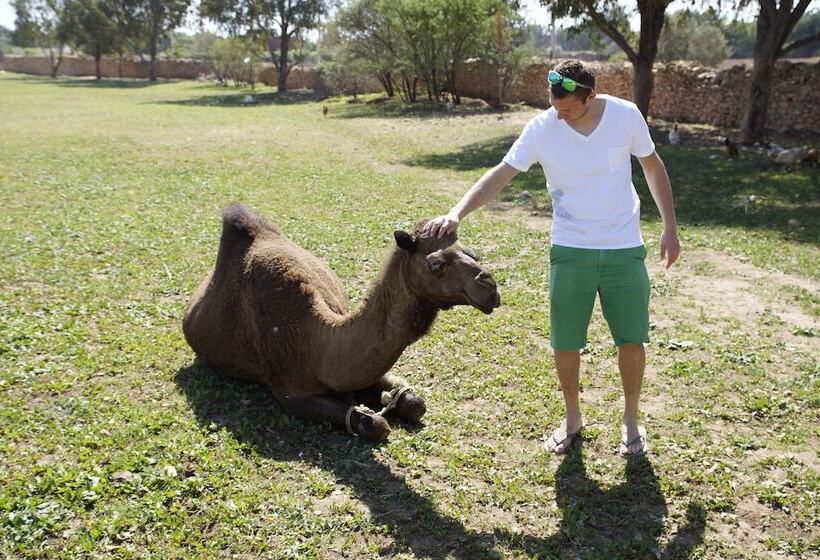 ベッドアンドブレックファースト Villa Juba