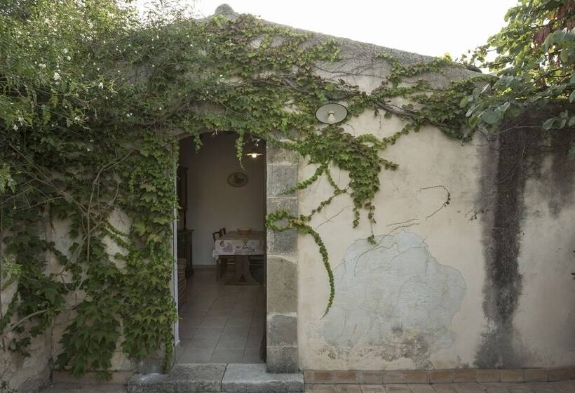 住宿加早餐  Villa Zottopera   Dimora Di Campagna