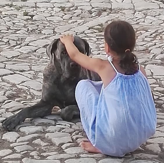 住宿加早餐  Villa Zottopera   Dimora Di Campagna