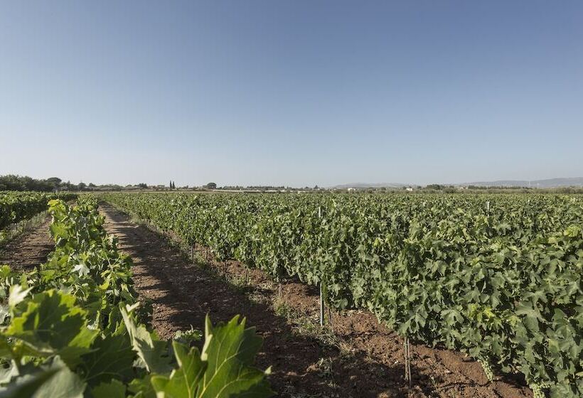 住宿加早餐  Villa Zottopera   Dimora Di Campagna