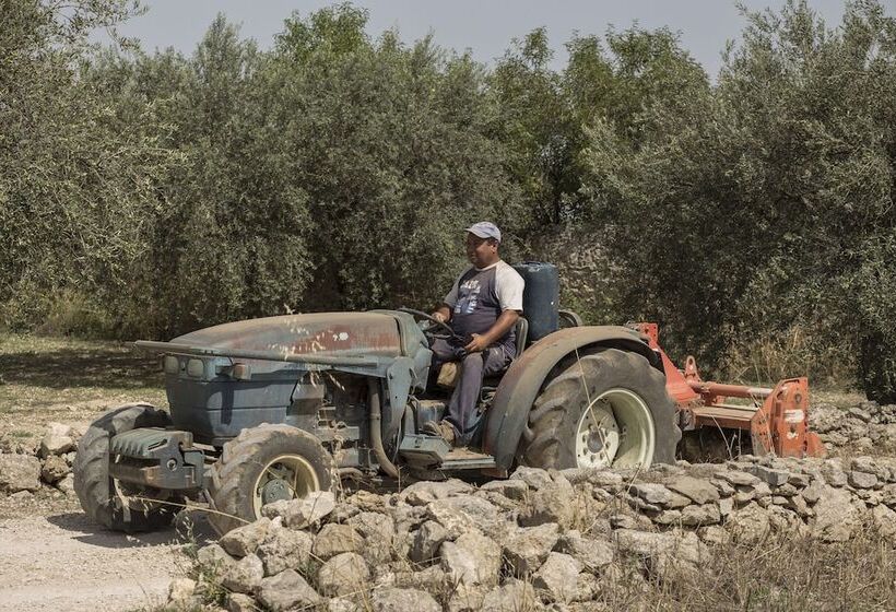 住宿加早餐  Villa Zottopera   Dimora Di Campagna