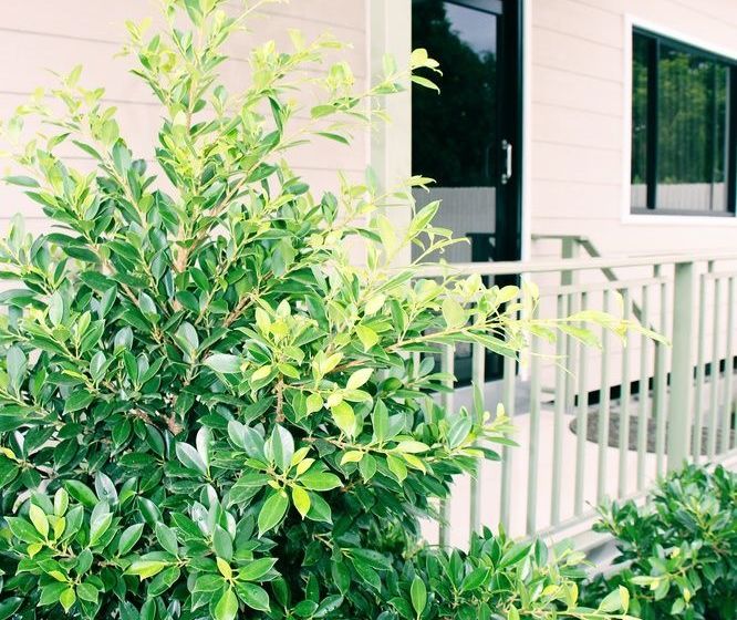 Citi Serviced Apartments And Motel