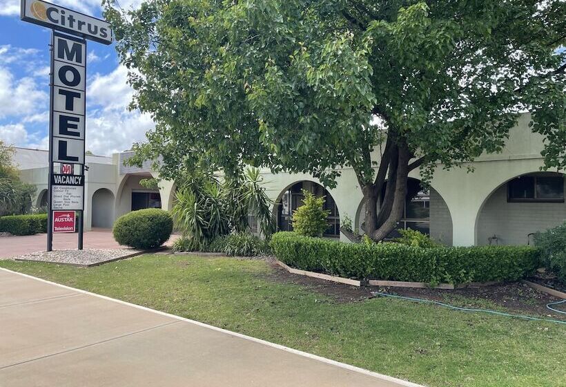 Citrus Motel