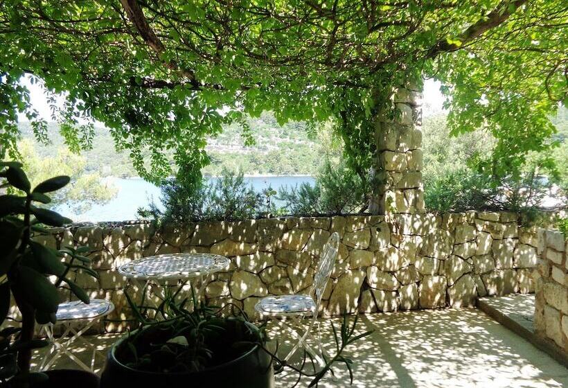 Guest House Busurelo