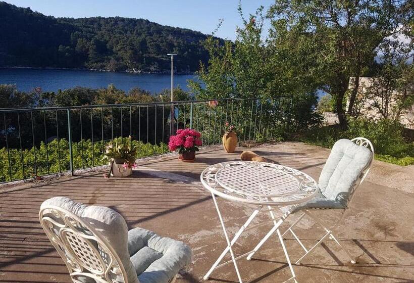 Guest House Busurelo