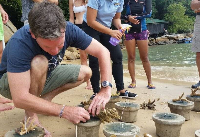 בית מלון כפרי Alunan Resort All Inclusive