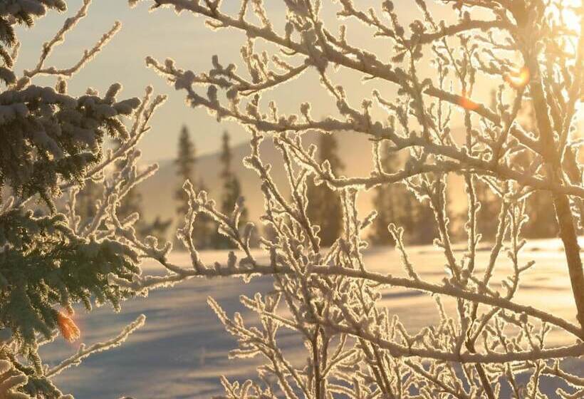 호텔 Buustamons Fjällgård