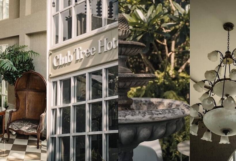 酒店 Club Tree
