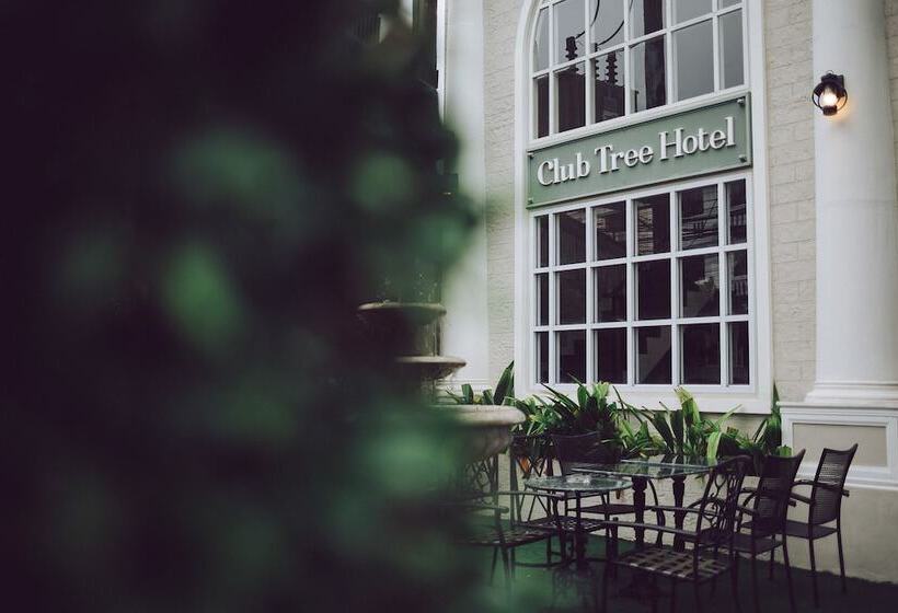 酒店 Club Tree