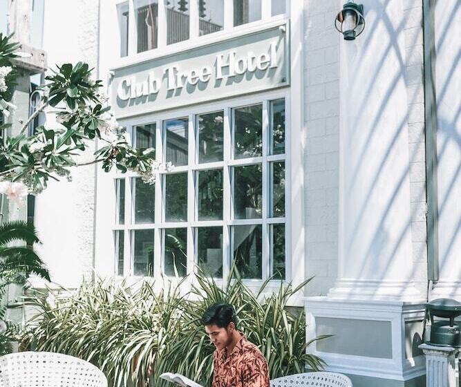 酒店 Club Tree