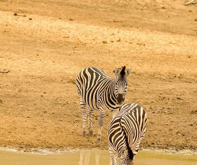 ホテル Elandela Private Game Reserve & Luxury Lodge