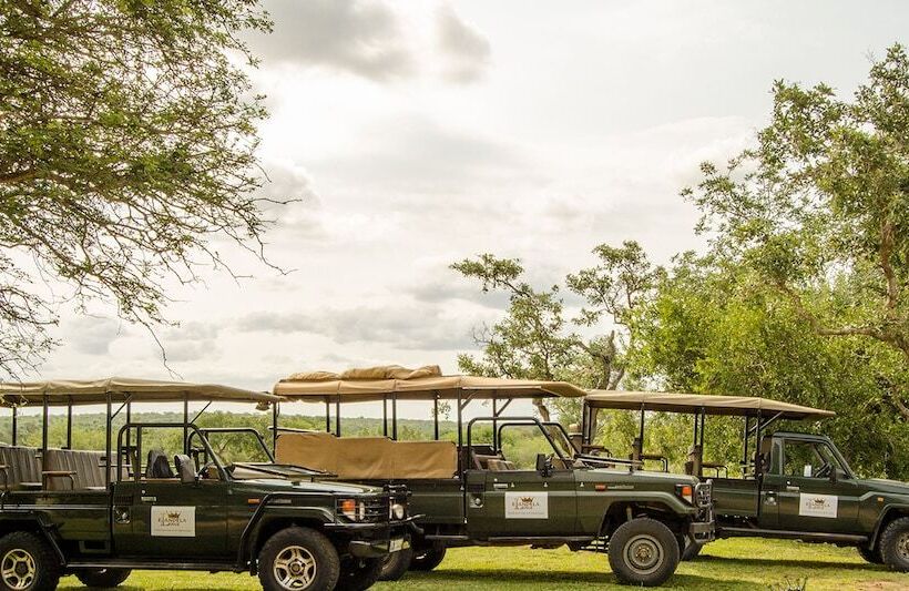 ホテル Elandela Private Game Reserve & Luxury Lodge