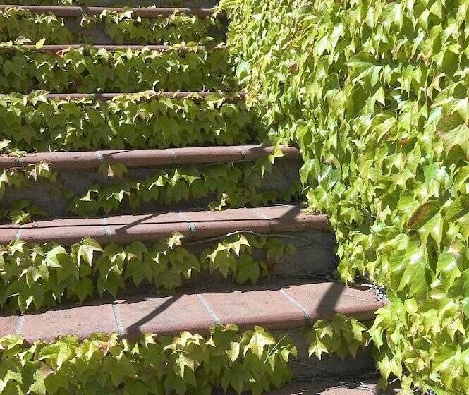 Отель Il Colombaio Di Cencio