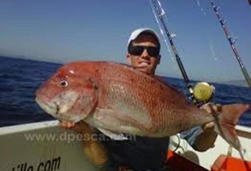 فندق Padanta Homestay