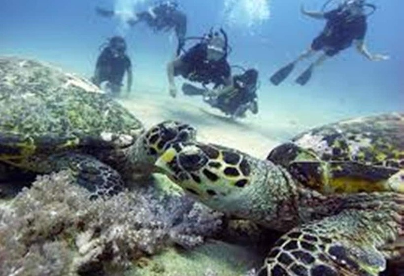 فندق Padanta Homestay