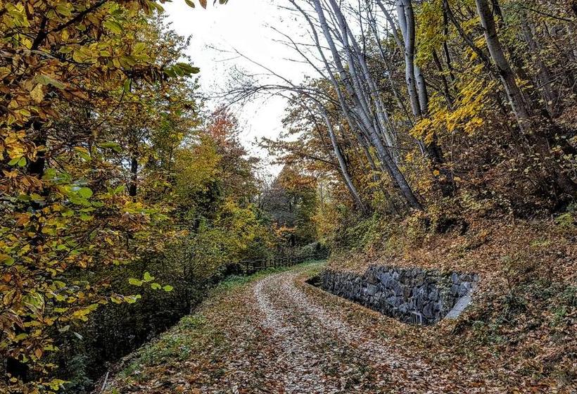 בית מלון כפרי La Torretta