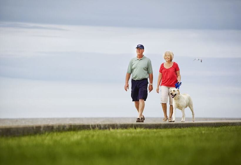 هتل Maumee Bay Lodge And Conference Center
