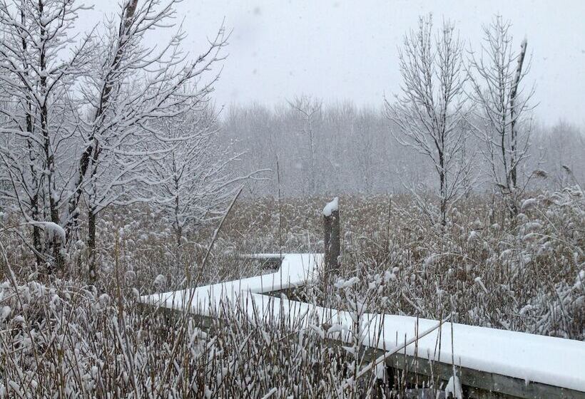 هتل Maumee Bay Lodge And Conference Center