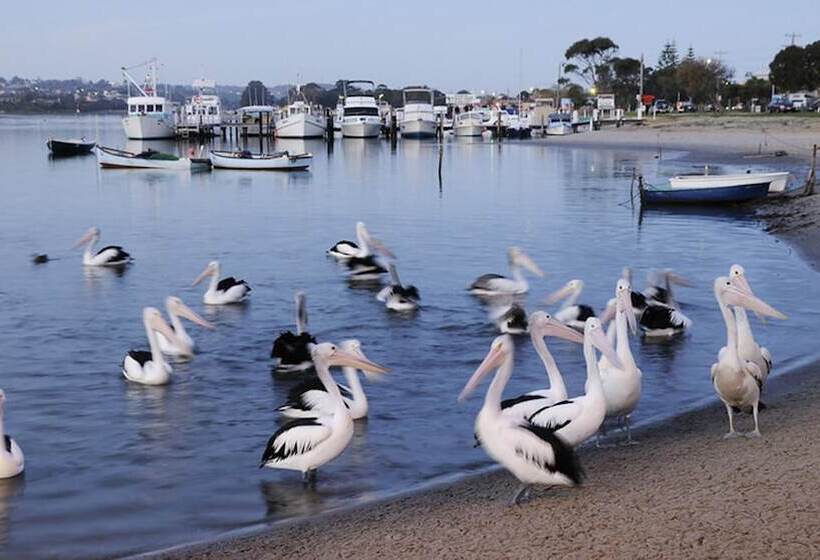 호텔 Nrma Eastern Beach Holiday Park