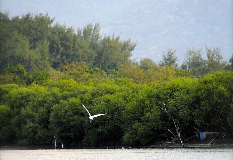 ホテル Seri Resort Gili Meno   Adults Only