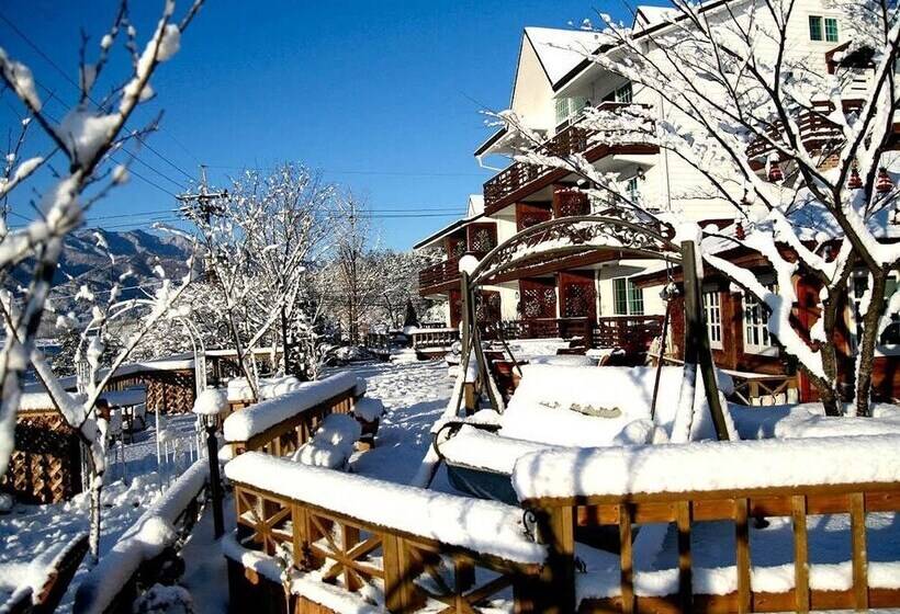 Отель Spa Pension Basso