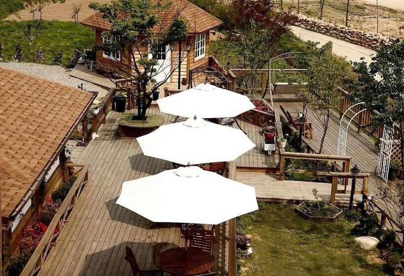 Отель Spa Pension Basso