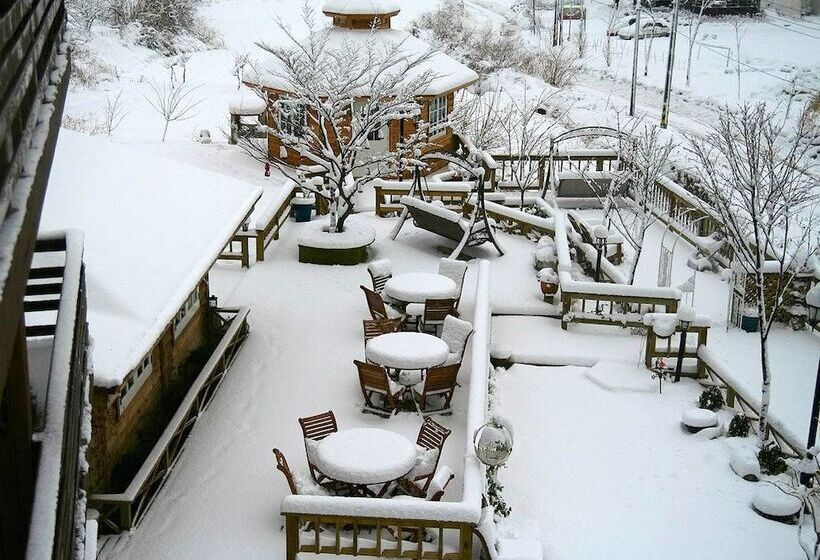 Отель Spa Pension Basso