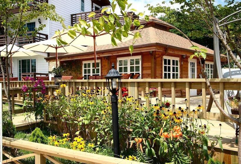 Отель Spa Pension Basso