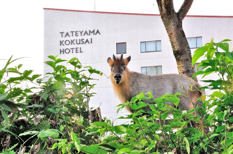 酒店 Tateyama Kokusai