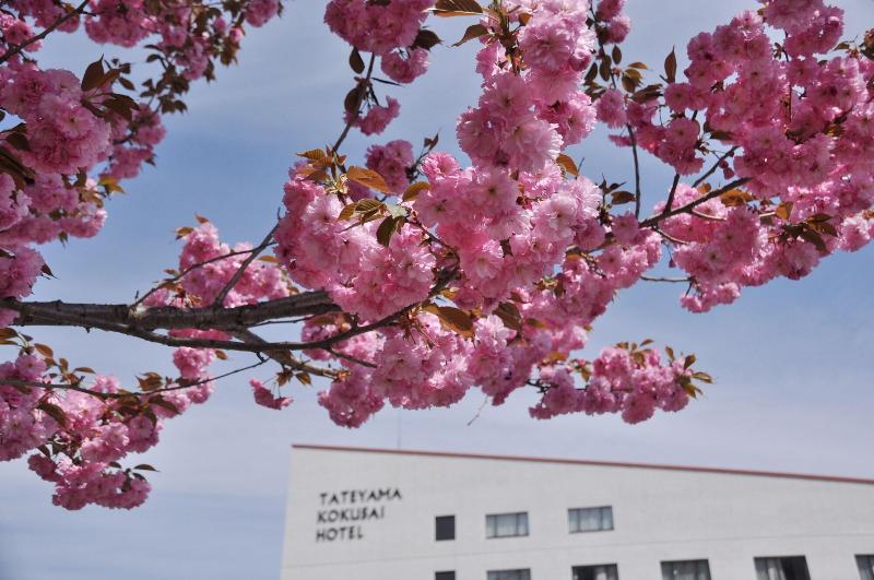 酒店 Tateyama Kokusai