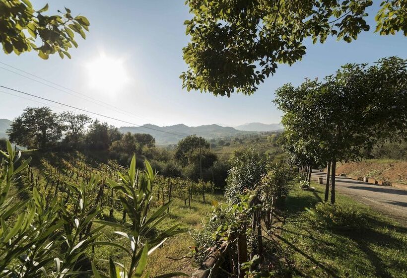 בית מלון כפרי Tenuta D'amore