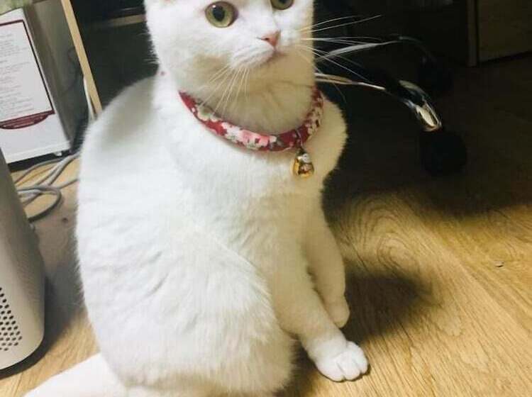 Pensão Agit Guesthouse