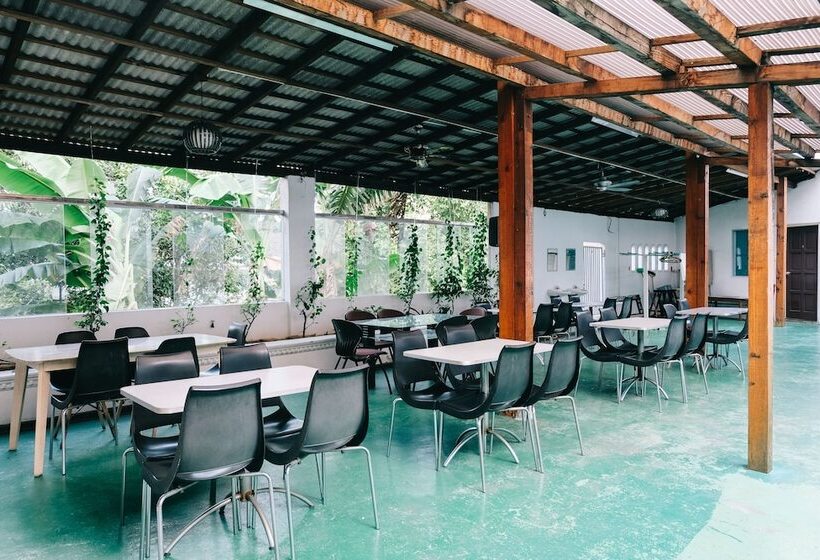 Pensão Camelia Homestay