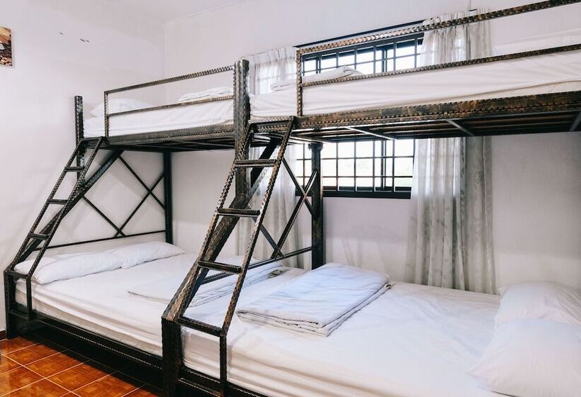 Pensão Camelia Homestay