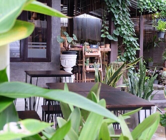 膳宿费 Ihouse Chiangrai