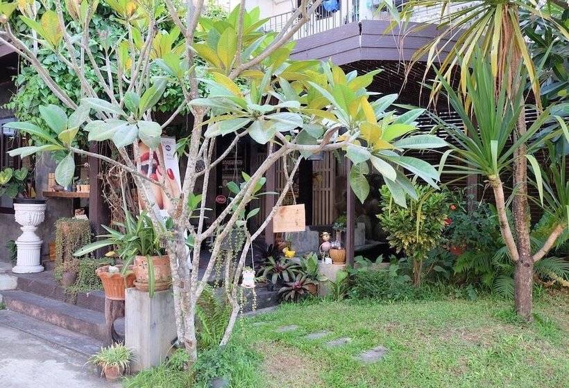 膳宿费 Ihouse Chiangrai