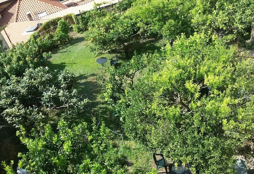 ペンション La Casa Sul Blu Albergo Diffuso