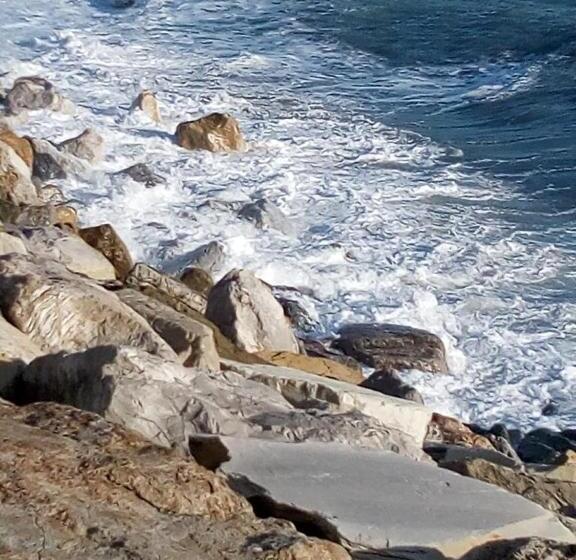 La Pergola Dei Paggi