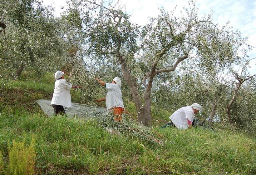 La Pergola Dei Paggi