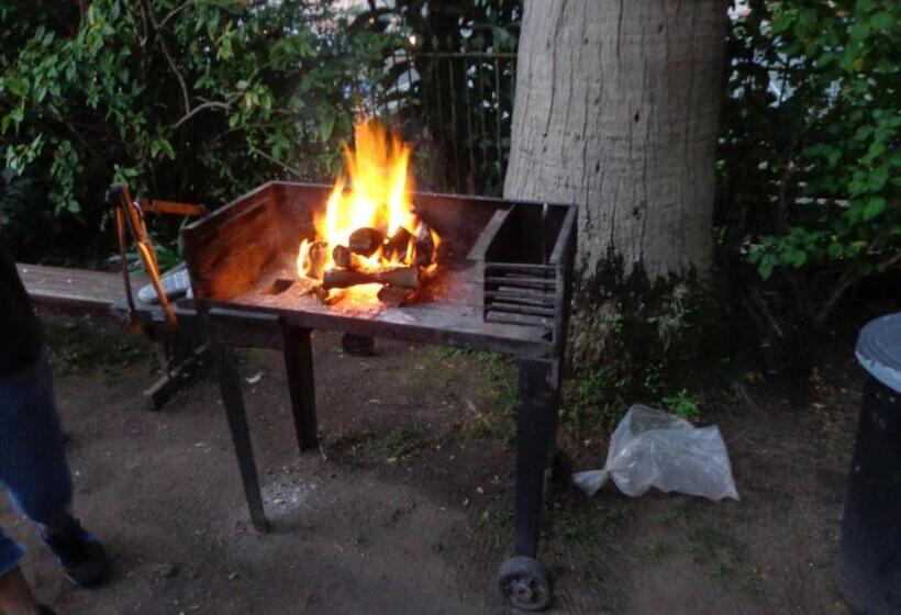 旅馆 Ashanti Lodge Backpackers